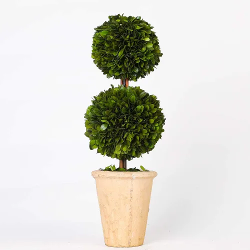 Miniatura 8 de Esfera decorativa de boj preservada, hojas de boj reales, plantas verdes, decoración del hogar para Navidad, Día de Acción de Gracias, regalos que