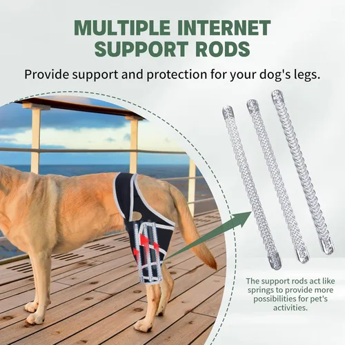 Miniatura 9 de Soporte ajustable para patas traseras de perro para perros pequeños a grandes, rodillera de perro para pierna trasera desgarrada con estabilizador