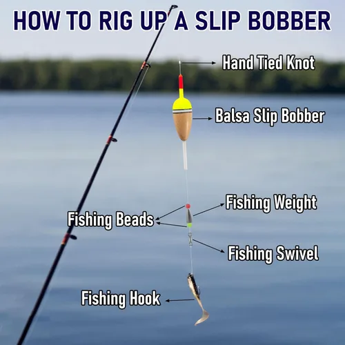 Miniatura 4 de Alwonder Paquete de 4 Bobbers para Pesca, Flotadores Deslizantes de Cuerpo de Madera de Balsa Flotante, Bobber Deslizante Ovalado de Alta 4-paquete