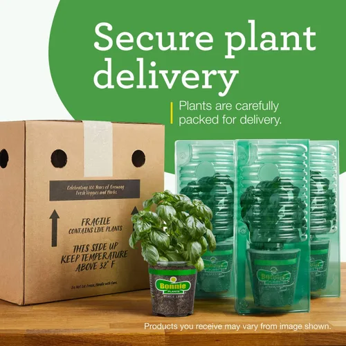 Miniatura 8 de Bonnie Plants Pimienta de plátano picante 19.3 oz. paquete de 4, amarillo