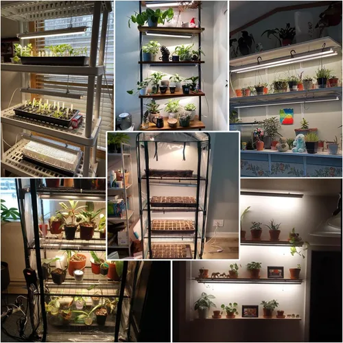 Miniatura 2 de GYTF Luces LED T5, 204 bombillas de 5000 K, tiras de luz blanca de espectro completo para plantas de interior, estantes, plántulas de invernadero