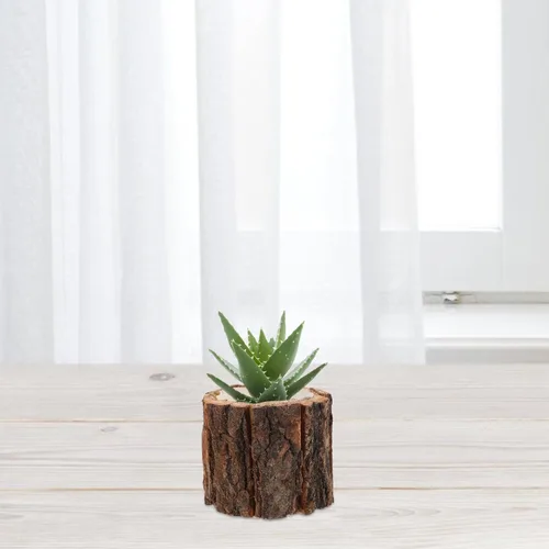 Miniatura 9 de Happyyami 4 macetas rústicas de madera, soporte para plantas pequeñas para decoración interior del hogar, material de corteza impermeable, 3.54 x