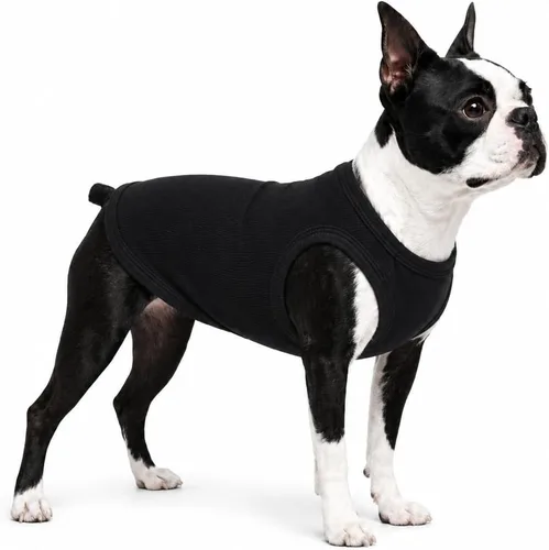 Miniatura 45 de Lovelonglong Ropa para mascotas de verano 2019, ropa para perro, camisetas en blanco, camisetas acanaladas, chalecos de hilo superior para perros
