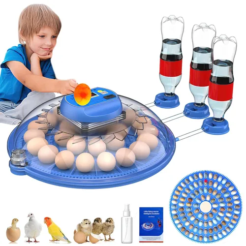 Incubadora automática de 26-52 huevos | Mejora la adición automática de agua | Vista de 360 grados | incubadoras para huevos para incubar | Sin uso