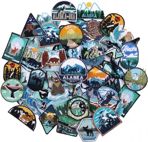 Hotop 48 piezas de parches de Alaska para planchar, bordados con osos polares, ballenas, leones marinos, focas, renos, elementos naturales para