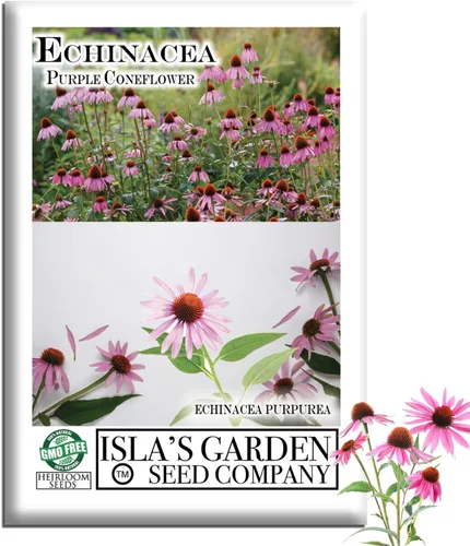 Semillas de flores de equinácea púrpura de equinácea para plantar, más de 750 semillas de flores por paquete, semillas de jardín de Isla (semillas