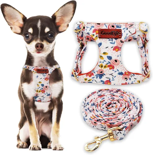 Miniatura 7 de OaaXbbECco Arnés suave y ajustable para cachorro, arnés suave y ajustable para perro y correa para perro, sin estrangulamiento, a prueba de escape