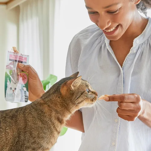 Miniatura 3 de INABA Filete de atún a la parrilla natural de primera calidad para gatos, complemento/complemento con vitamina E y extracto de té verde, 0.52 onzas