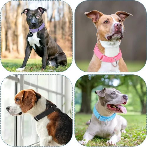 Miniatura 7 de 12 collares de Martingala para perros medianos, collar reflectante para perro con hebilla de metal duradera, nailon ajustable para mascotas que
