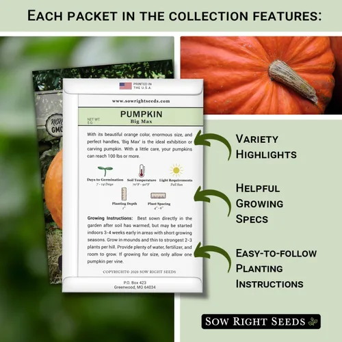 Miniatura 2 de Sow Right Seeds - Colección clásica de semillas de calabaza para plantar - Azúcar pequeño, campo de Connecticut y Big Max - Paquetes de reliquia sin