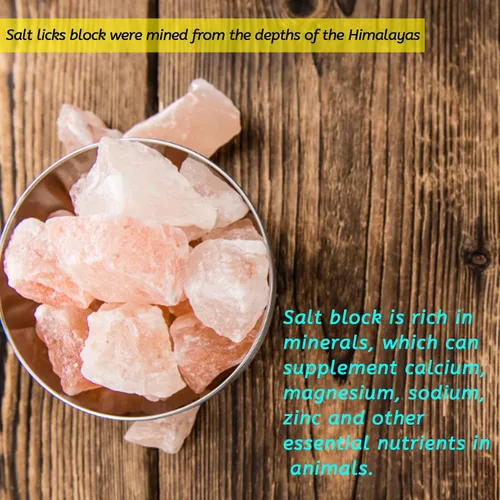 Miniatura 6 de PINVNBY Bloques de sal para conejos, 4 piezas de mascotas pequeñas del Himalaya lamen sal bloque de sal sales minerales naturales con gancho