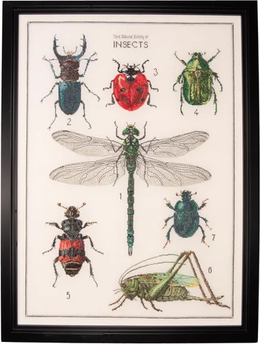 Thea Gouverneur - Kit de punto de cruz contado - La historia de los insectos - Aida - 14 unidades - Kit de bordado para adultos - Hilos de bordado