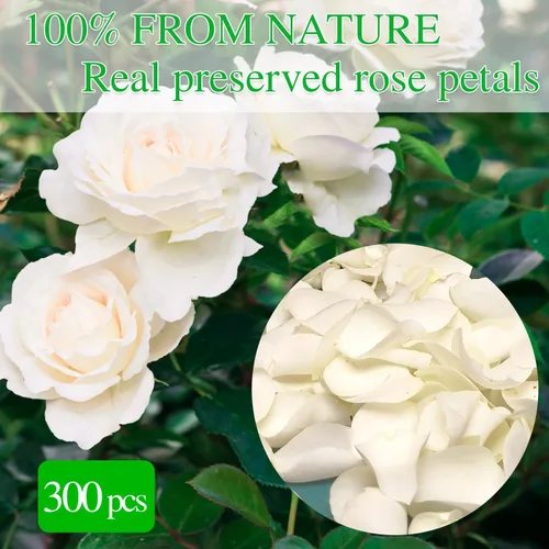 Miniatura 6 de 200 pétalos de rosa negros reales secos, pétalos de flores preservados de 1.75 onzas para regalos, decoración de fiesta de boda, niña de las flores