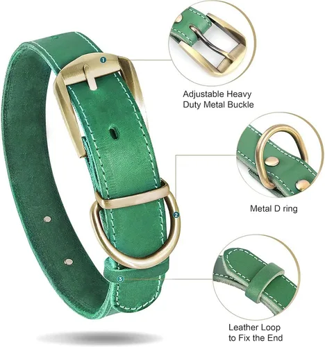 Miniatura 4 de Didog Collares de perro de cuero genuino con placa de identificación grabada, collar de perro de cuero suave personalizado con etiqueta de Verde