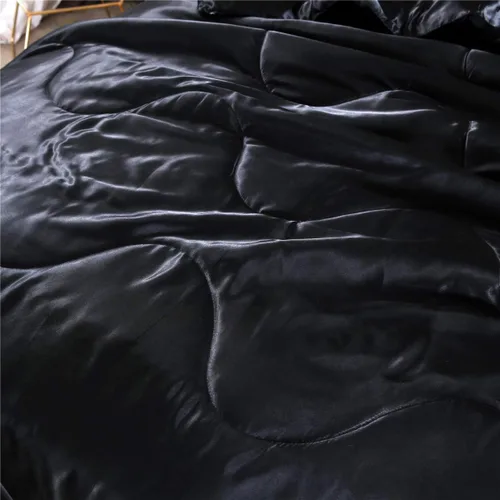 Miniatura 3 de NTBED - Juego de edredón de satén sedoso tamaño Queen, negro, de microfibra suave y ligera, lujoso y sexy, acolchado, juego de ropa de cama con 2