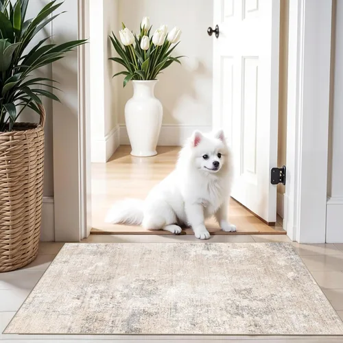 Alfombra antideslizante lavable de 2 x 3 pulgadas, moderna, abstracta, neutra, para cocina, entrada y dormitorio, tapete suave y delgado de pelo