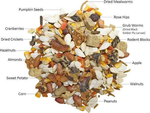 Miniatura 2 de Paquete de iniciación de alimentos para ardillas, incluye dieta nutricionalmente completa, golosinas naturales y suplementos vitamínicos saludables