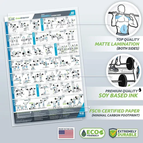 Miniatura 2 de EverStretch Póster de entrenamiento con barra para gimnasio en casa, con instrucciones en video (idioma español no garantizado), grande de 23 x 35
