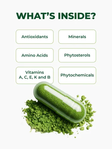 Miniatura 10 de PURA VIDA MORINGA Cápsulas de polvo de Moringa de origen único orgánico. Hoja pura de Moringa. Energía, metabolismo y apoyo inmunológico. 120