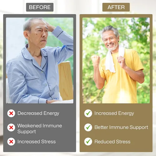 Miniatura 4 de Vita Green Yin Yang Cordyceps Suplemento herbario de micelio () - Apoya el bienestar respiratorio, la energía y la salud del hígado y los riñones