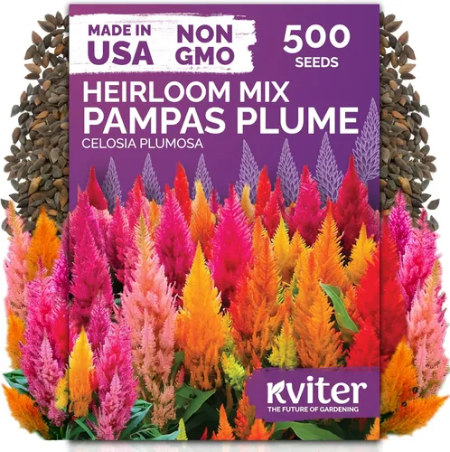 Miniatura 13 de KVITER 25 semillas de algodón blanco para plantar (Gossypium hirsutum) – Planta de algodón real, semillas de algodón para cultivo, semillas