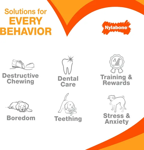 Miniatura 7 de Nylabone Original Bone Power - Paquete de valor de juguetes masticables para perros, juguetes duraderos para perros masticadores agresivos, sabor