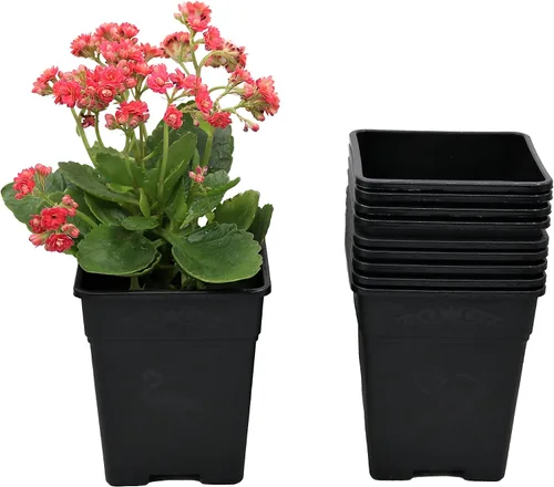 Miniatura 9 de Macetas cuadradas de plástico de 0.5 galones para plantas de interior y exterior, paquete de 10 con agujeros de drenaje, macetas de vivero de 5