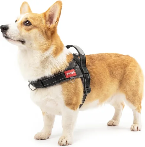 Miniatura 14 de Arnés para perro sin tirón con asa, chaleco reflectante ajustable Corgi, arnés para mascotas acolchado con malla de aire transpirable con clip