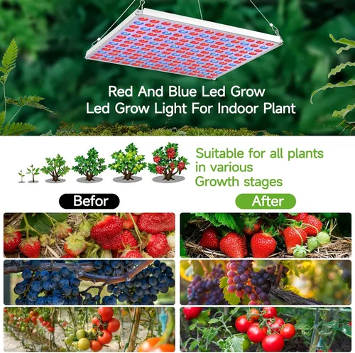 Miniatura 5 de Luz LED de crecimiento, luz de crecimiento para plantas de interior, luz de espectro completo para plantas de semillero, hidropónico, invernadero