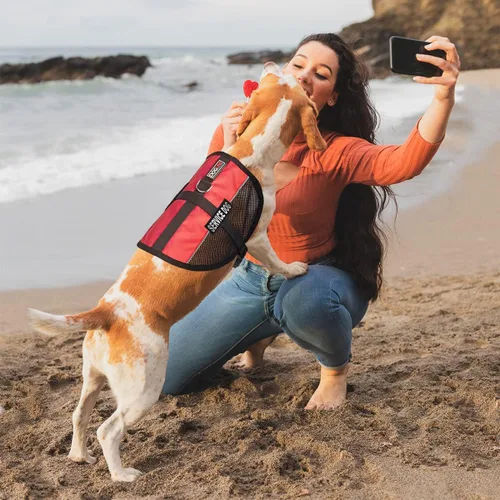 Miniatura 7 de Dogline Chaleco para perro de servicio, 17 x 21 pulgadas, rojo