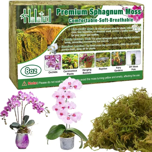 Miniatura 10 de Halatool Musgo de bosque verde de 1.1 libras, musgo esfagnum natural de 25 cuartos para plantas, musgo de orquídea esponjoso para trasplante