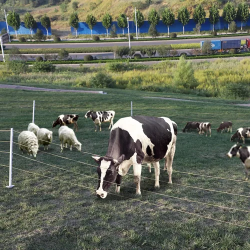 Miniatura 7 de Alambre para valla eléctrica de 656 pies (200 metros), 6 conductores de acero inoxidable, valla eléctrica portátil de polialambre para ganado