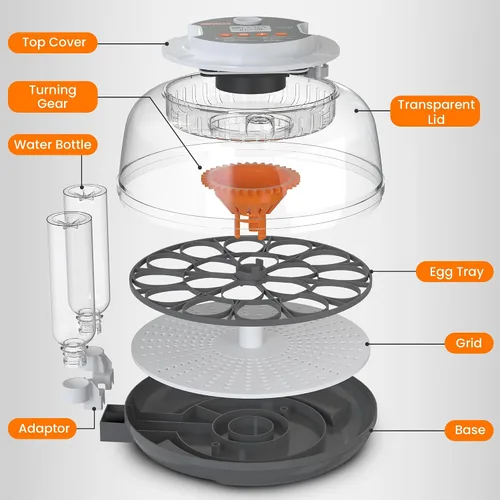 Miniatura 2 de Incubadora automática de huevos de 18 huevos para incubar huevos, incubadora de huevos de gallina con giro automático de huevos, control de humedad