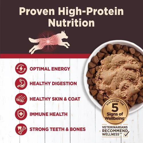 Miniatura 3 de Wellness CORE Digestive Health Paté Alimento húmedo enlatado para perros adultos, sin granos, estómago sensible, natural, receta de carne de res, 13