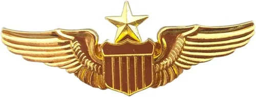 Pin de las alas del aviador del metal, Pin de la etiqueta de la insignia del piloto del ala del oro del piloto de la