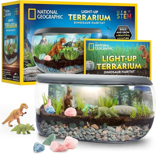 National Geographic - Kit de terrario iluminado para niños, construye un hábitat de dinosaurios con plantas reales y piedras preciosas, kit de