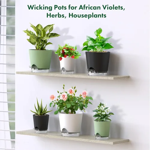 Miniatura 7 de Meowell Macetas de riego automático de 5 pulgadas para plantas de interior, paquete de 5 macetas pequeñas con agujeros de drenaje y depósito
