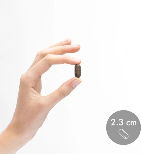 Miniatura 6 de Dr. Mercola Hongos Chaga orgánicos - Apoyo inmunológico - Mezcla adaptogénica con extracto de chaga y polvo de chaga - USDA Organic - Sin gluten