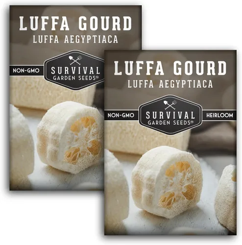 Miniatura 10 de Luffa Seeds for Planting – Variedad de esponja de lufa sin OMG – Cultiva depuradores de baño naturales, frutas jóvenes comestibles y enredaderas