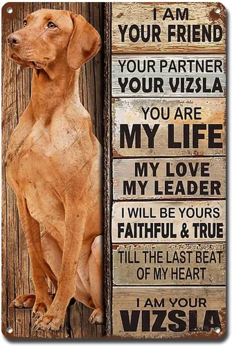 Miniatura 57 de Letrero de Metal Letrero de Hojalata Arte de Pared Vintage I Am Your Friend Regalo para Amantes de Schnauzer Arte de Pared Vintage Impresiones