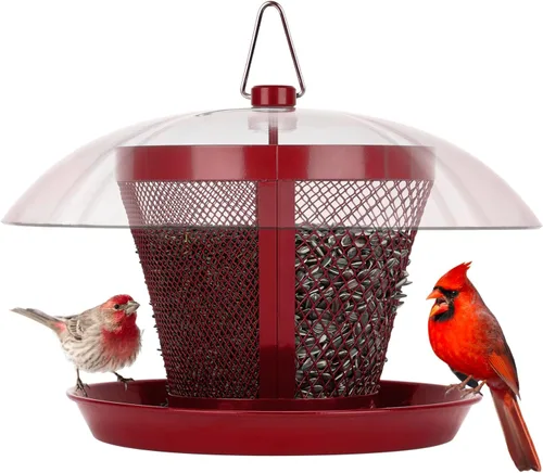 Comedero para pájaros Kingsyard para exterior, comedero de malla metálica de doble uso para pájaros silvestres con cúpula resistente a la