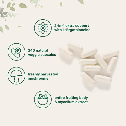 Miniatura 3 de Micro Ingredients Extracto de hongo melena de león con L-ergotioneína, 240 cápsulas vegetales, suministro para 4 meses Sin OMG