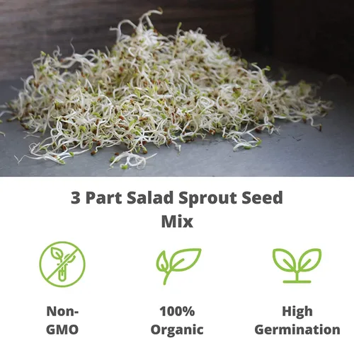 Miniatura 6 de Semilla de brote de alfalfa orgánico certificado – marca Handy Pantry – semillas de alta germinación comestibles - jardinería, cultivos