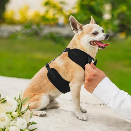 Miniatura 7 de Kuoser Arnés de esmoquin para perro, arnés ajustable para mascotas sin tirones para perros pequeños y medianos, traje de boda para perros con Negro