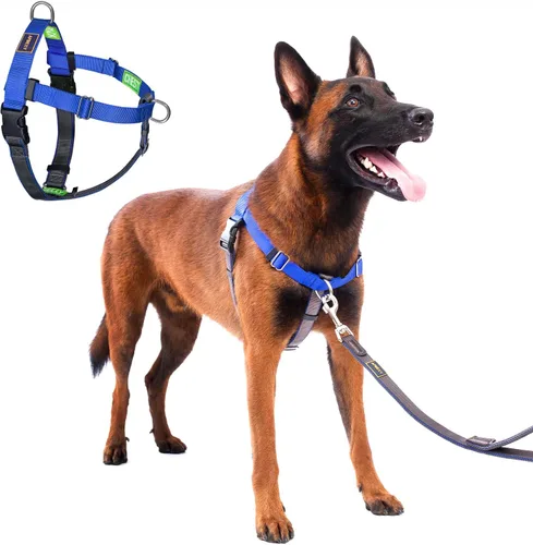 Miniatura 14 de Freedom - Arnés para perro sin tirones, fácil de caminar, deja de tirar con dos anillos en D de acero inoxidable, cómodo, etiquetas de instrucciones