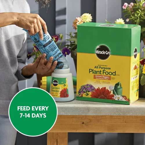 Miniatura 10 de Miracle-Gro Alimento soluble en agua para plantas multiusos, fertilizante para plantas de interior o exterior, rosas, flores, plantas