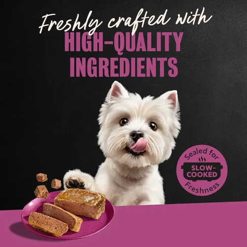 Miniatura 11 de Cesar Clásico - Comida húmeda para perros adultos en salsa con sabor a chuletón, comida húmeda para perros, bandejas fáciles de pelar de 3.5 oz, 24