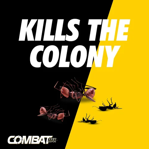 Miniatura 3 de Combat Max 2 en 1 Estación de cebo para hormigas, 4