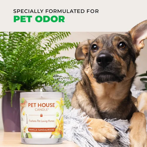 Miniatura 5 de One Fur All, Pet House - Vela 100 % cera de soja, eliminador de olores de mascotas para el hogar, velas aromáticas, no tóxicas y ecológicas