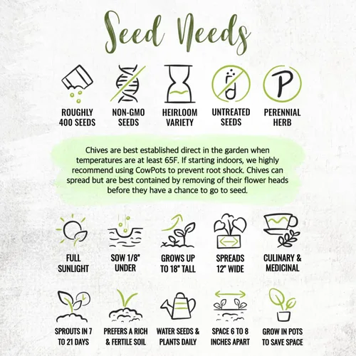 Miniatura 7 de Seed Needs Semillas de cebollino para plantar cebollino común, semillas de hierbas sin OMG y sin tratar para plantar un jardín de hierbas culinarias